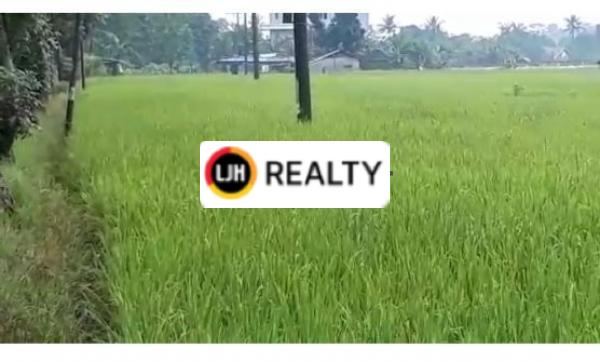 Sawah Produktif 1 Hektar Lebih di Karawang Barat