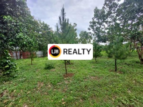 Tanah Seluas 4000 m² Taman Sari, Setu Kabupaten Bekasi