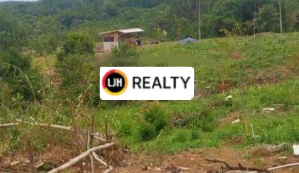 Dijual Tanah Siap Bangun Di Jasinga - Bogor
