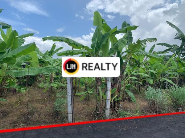 Cheap Land for Rent with Land size 157 m2 in Penatih, Denpasar Utara. Only 5 minutes to Living World Denpasar.