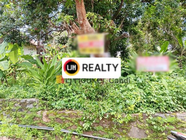 Kavling di Gondang Timur Bulusan Tembalang Semarang
