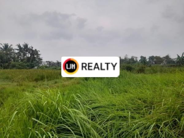 Tanah Dan Rumah Cocok Untuk Membuat Perumahan Baru Atau Ruko di Babelan Bekasi