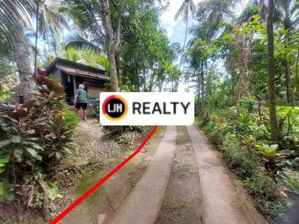 For Sale Plantation Land Suitable for Investment in Marga, Tabanan. Close to Alas Kedaton.