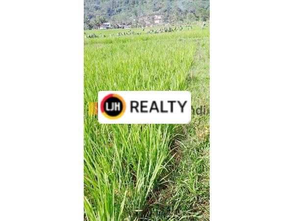 Kavling di Banyubiru Ambarawa Jawa Tengah