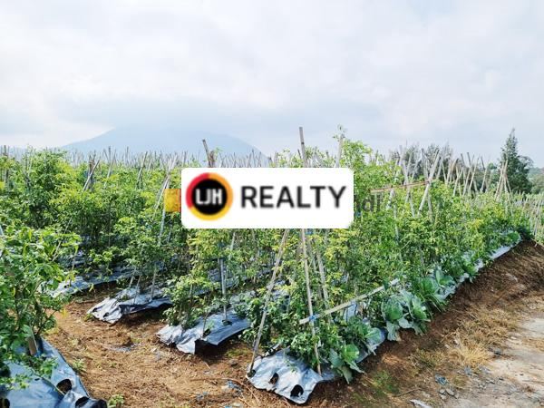 Kavling di Ngablak Kopeng Magelang