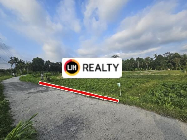 Land for sale at, Marga, Tabanan, strategic location, good access, suitable for investment