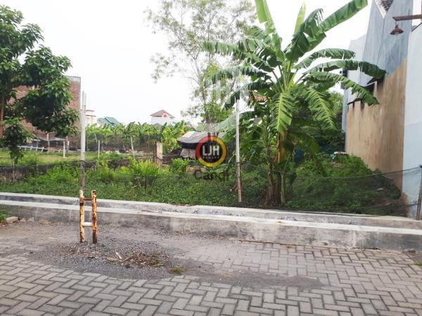 Kavling di Tlogomulyo Semarang