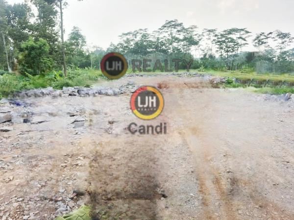 Kavling di Wringin Putih Bergas Ungaran Jawa Tengah