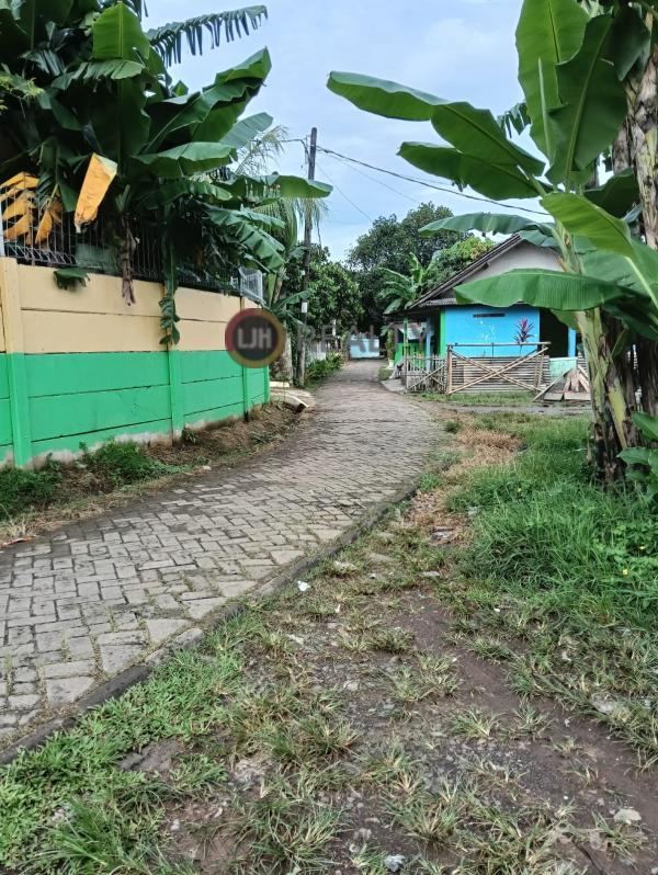 Tanah di Jual dan disewakan 