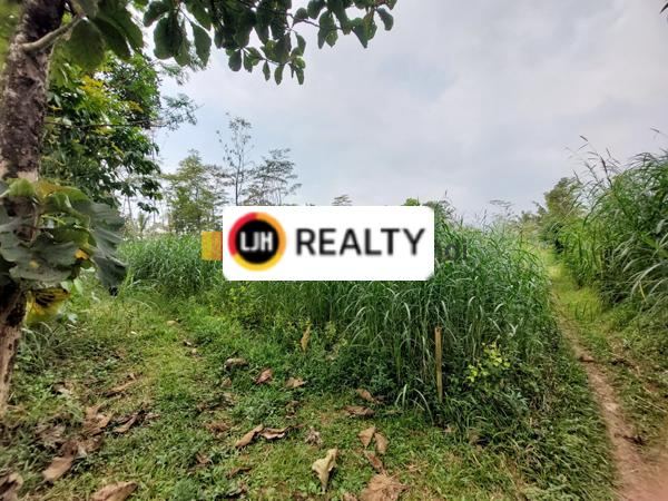 Kavling Dsn Klampeyan Noborejo Argomulyo Salatiga