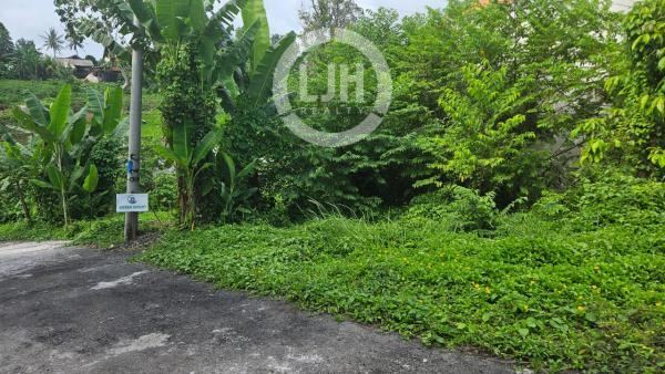 Dijual Tanah Luas di Desa Nyitdah, Tabanan Bali