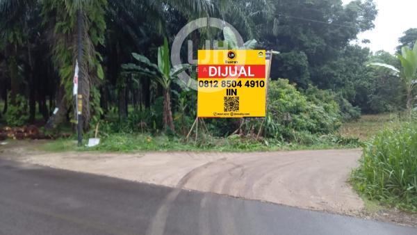 Dijual Tanah Luas 3000 M2 di Rancabungur, Bogor