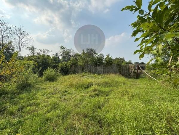 Tanah Perkebunan Jambu air di Cibarusah Luas 4.200 bisa digunakan sebagai perumahan, workshop, restoran, tempat wisata di Kampung Gempol Ridogalih Cibarusah, Cikarang Bekasi