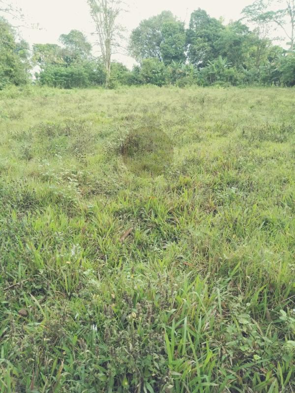 Tanah dijual kawasan sempur panongan tangerang