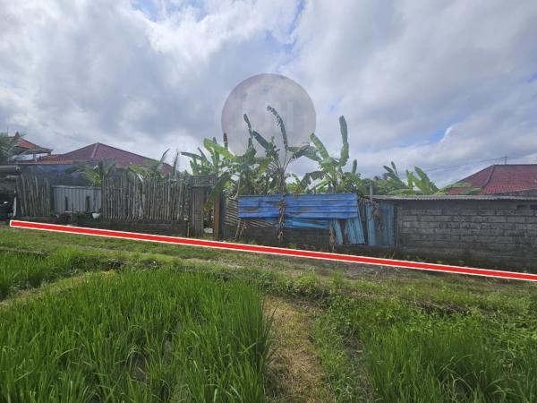 Land for rent at Cemagi, Mengwi, strategic location, good access, close to Tanah Lot and Munggu area
