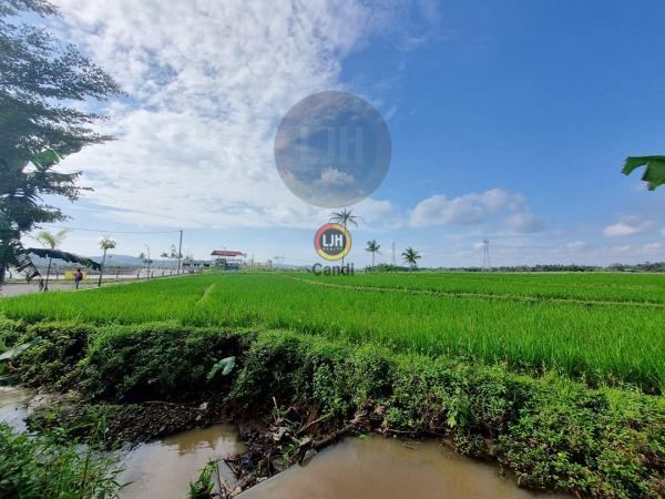 Kavling di DS KARANG TENGAH TUNTANG SALATIGA Jawa Tengah