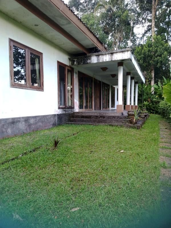 Dijual Tanah Bonus Bangunan di Bukian Jalan Payangan Gianyar Bali