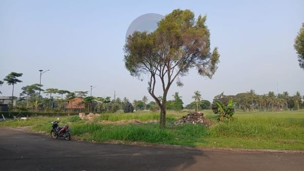 Kavling dijual suvarna padi sindang jaya pasar kemis