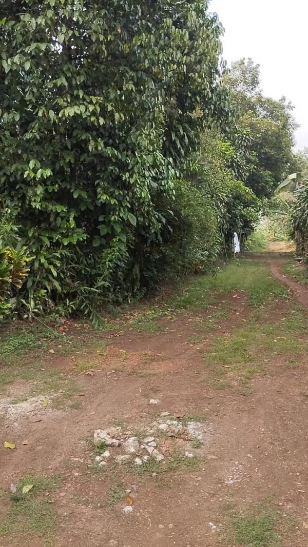Jual Tanah Di Serpong (C0780)