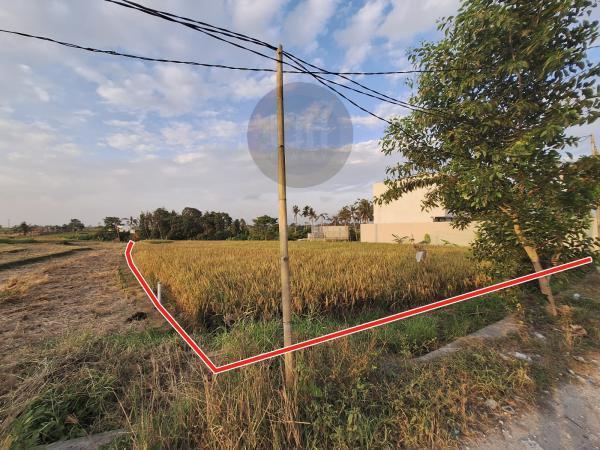 Land for sale at Munggu, strategic location, good access, close to Canggu and Tanah Lot area
