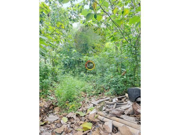 Kavling di Pawiyatan Luhur Selatan Semarang