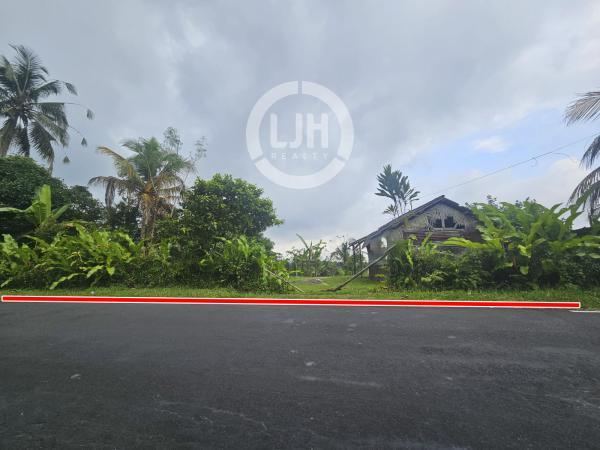 Land for sale at Pupuan, Tabanan, strategic location, good access, suitable for investment