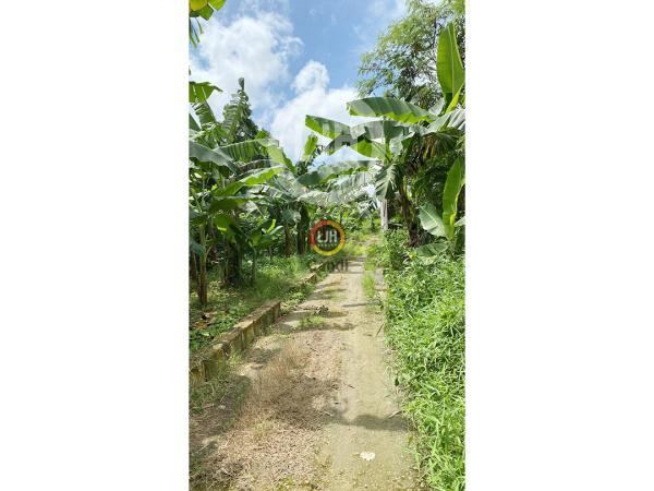 Kavling di Karangampel Kudus