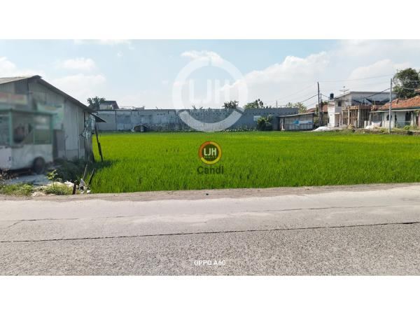 Kavling di DS Batursari Mranggen Jawa Tengah
