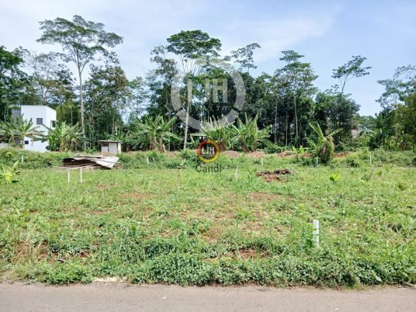 Kavling di KP REJOSARI ~ WONOLOPO MIJEN Semarang