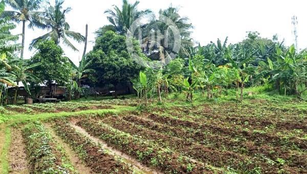 Kavling SIap Bangun Di Jl Raya Parahu Tangerang 