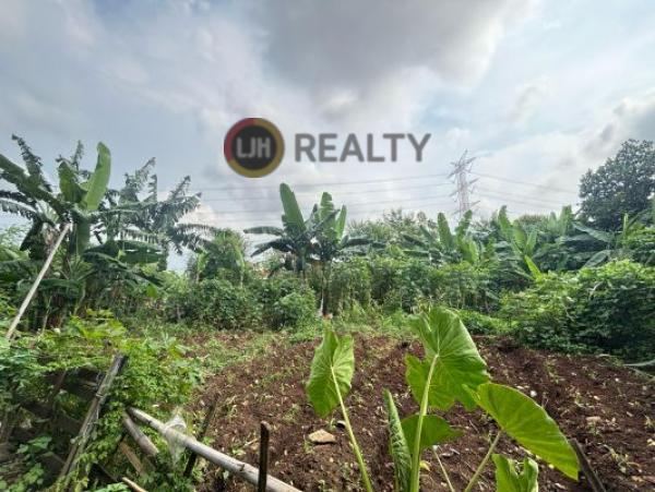  Tanah Jalan Raya Manunggal, Luas 3300m2, bisa dijadikan Perumahan, Gudang, Usaha Minimarket, SPBU, bisa kredit di Bank, Tambun Selatan, Bekasi