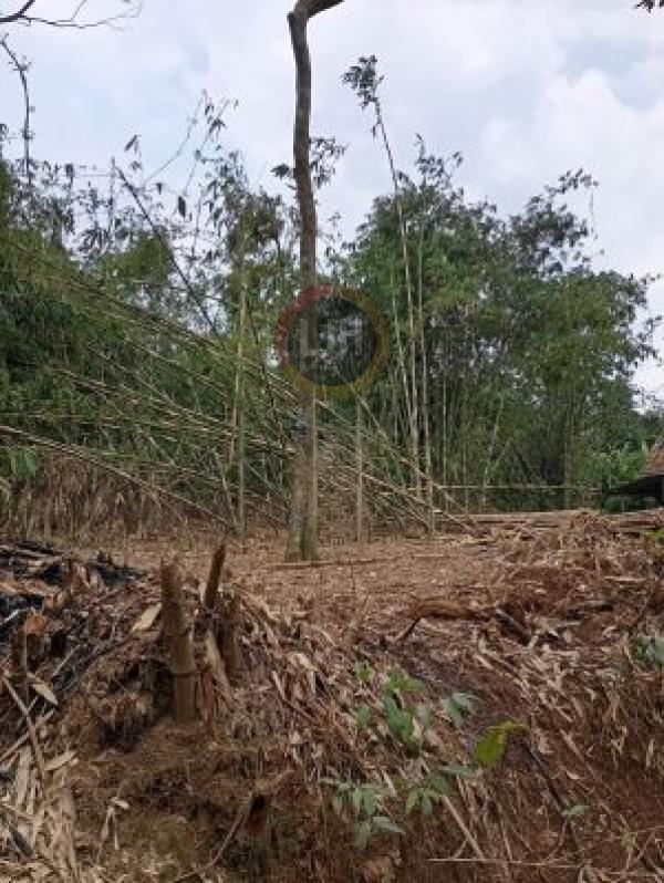 Tanah di Serang Cibarusah Luas Tanah 1.965m2, Cocok untuk Gudang atau Workshop harga 2 Juta permeter, 3,7 KM dari Pasar Cibarusah, 13 KM dari Tol Burangkeng, Serang Baru, Cikarang Bekasi