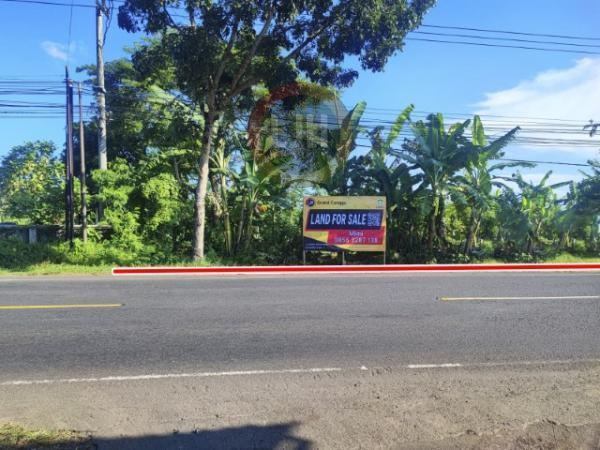 Land for sale at Jl. Bypass-Denpasar Gilimanuk, Negara, strategic location, suitable for investment. close to Baluk Rening Beach