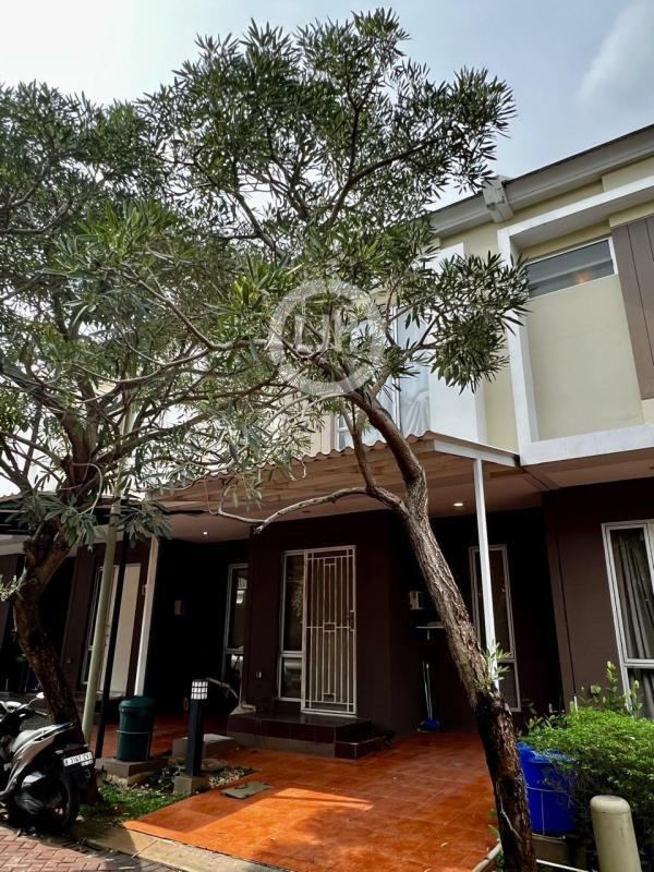 Disewakan Rumah Malibu Village Gading Serpong