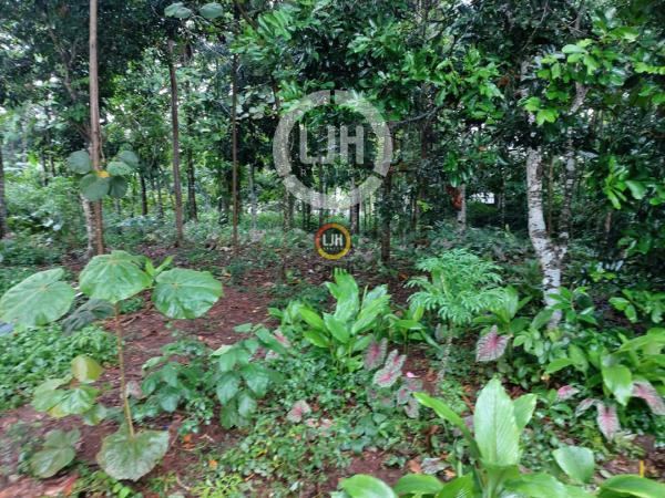 Kavling di Ungaran Sekaran Gunungpati Semarang