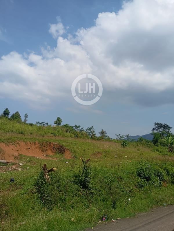 Tanah Luas ±11.000 m² Dijual di Desa Hambaro – Cocok untuk Investasi & Perkebunan