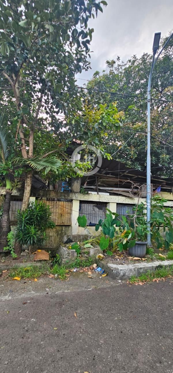 Dijual Tanah Rumah Tua Kayu putih - Jakarta