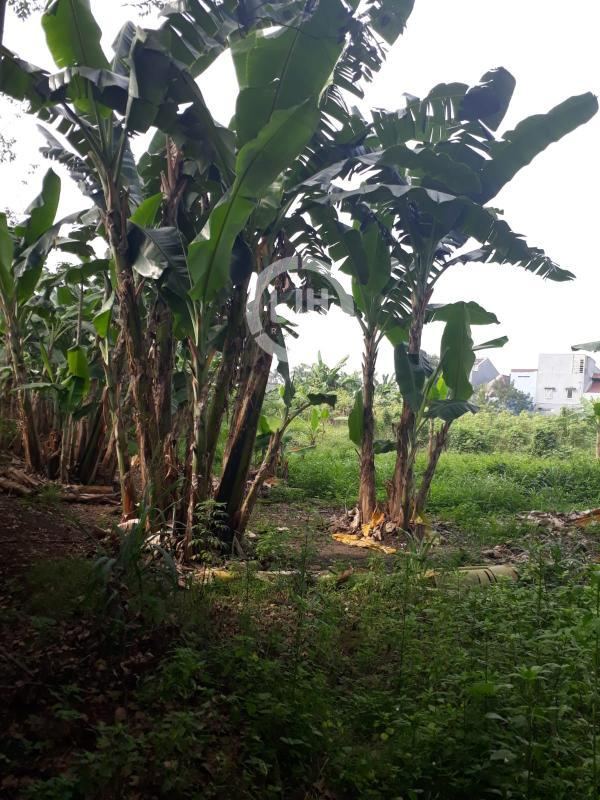 Kavling Komersial Strategis di Jalan Raya Hasyim Ashari Cipondoh Tangerang