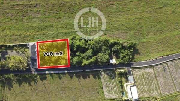 Beautiful Land for sale Just Minutes from the Beach – Ideal for Resort, Villa, or Private Home at Tabanan, close to Ciputra Beach Resort