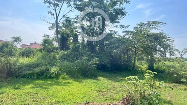 Tanah Dukuhwaru Kabupaten Tegal Siap Bangun