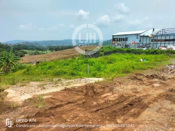 Jual Tanah Siap bangun daerah Ngaliyan Semarang – 10940