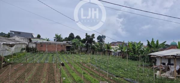 Dijual Tanah Strategis Di Cihideung Bandung, Kebun Bunga Potong & Kolam Pancing