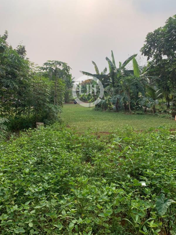 Dijual Murah Tanah di Pengasinan Sawangan Depok