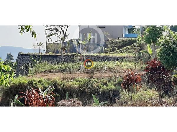Kavling di Villa Hollywood Bandungan Jawa Tengah