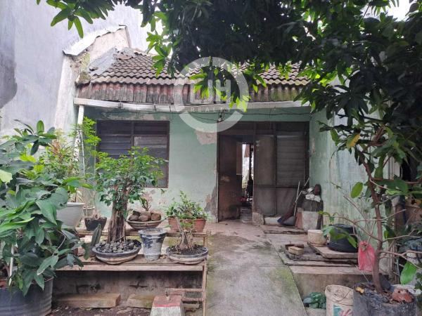 Rumah daerah Sambiroto Semarang – 10996