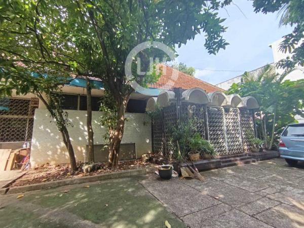  Rumah siap huni Jl.A.Yani. Karang kidul. Semarang – 10997