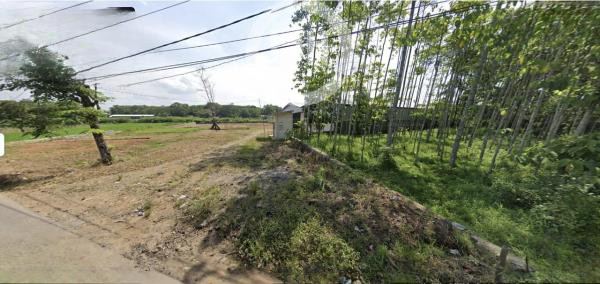 Kavling Dijual di Padaasih Subang Jawa Barat Jalan Lebar