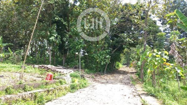 Rumah siap huni dan nyaman Pekunden Semarang -11141