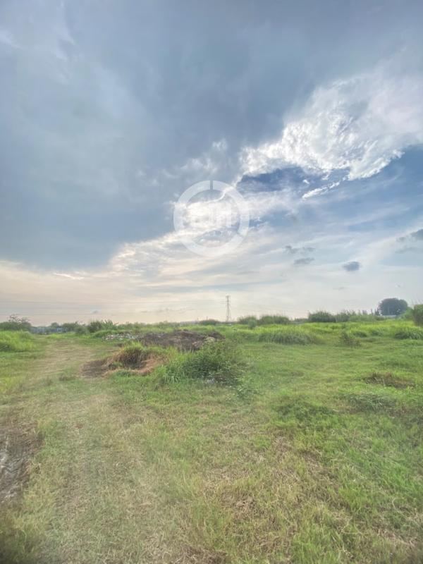 Tanah Lemahduwur Adiwerna Tegal Siap Bangun