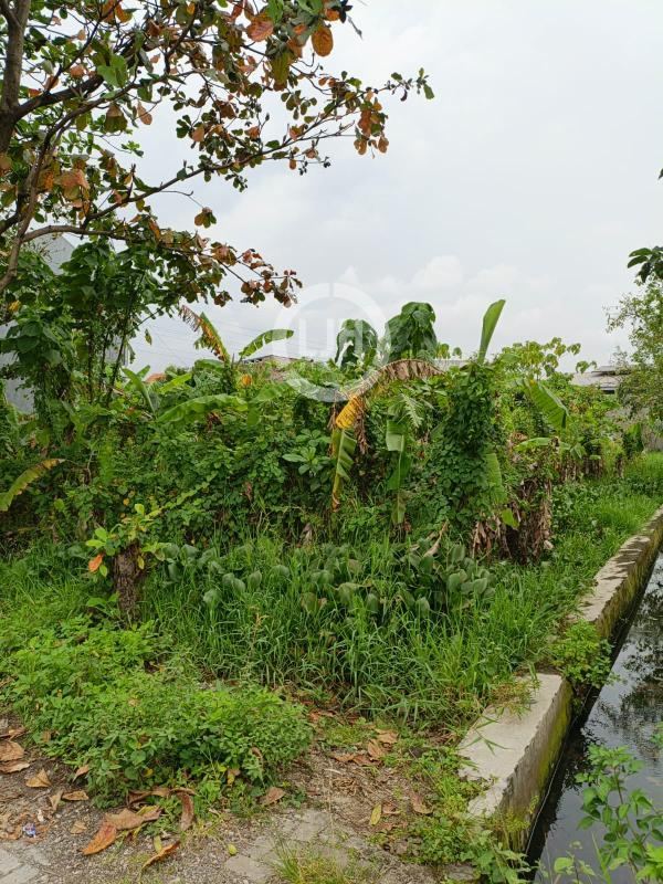 Tanah siap bangun Jl.Gajah. Semarang Timur – 11217
